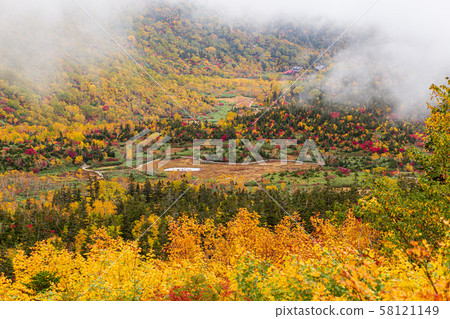 長野縣津輕池自然公園 長野縣津輕池自然公園 58121149