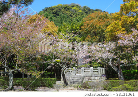 聊城市Sa月公園的景色 聊城市Sa月公園的景色 58121361