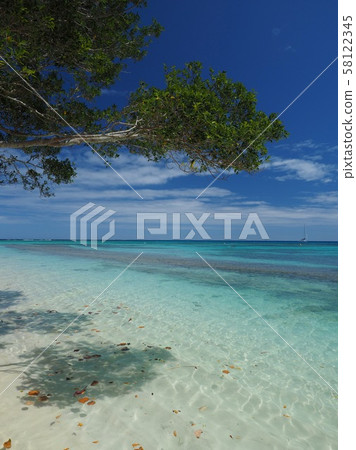 New Caledonia Amede Lighthouse Island Sea New Caledonia Amede Lighthouse Island Sea 58122345
