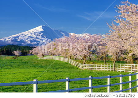 秋田縣、由利本莊市、鳥海山和櫻花風景 58122780