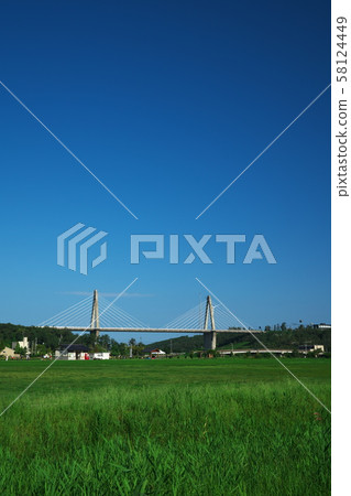 View of Sunset Bridge inside Cable-stayed Bridge from Lotus Lake Park 58124449