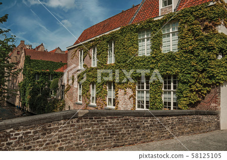 Bridge and brick buildings with creeper on canal of Bruges 58125105