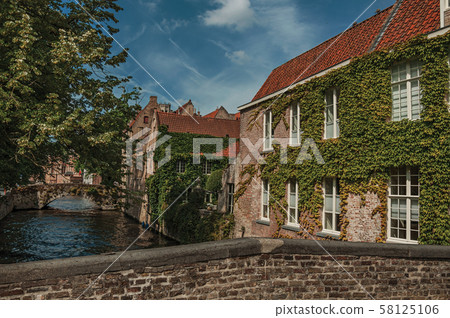 Bridge and brick buildings with creeper on canal of Bruges Bridge and brick buildings with creeper on canal of Bruges 58125106