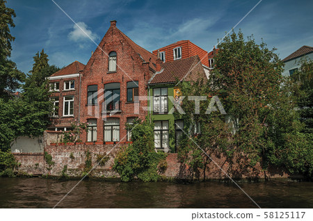 Greenery and brick buildings on canal edge of Bruges 58125117