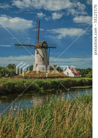 Old windmill next to canal with bushes and grove near Damme Old windmill next to canal with bushes and grove near Damme 58125576