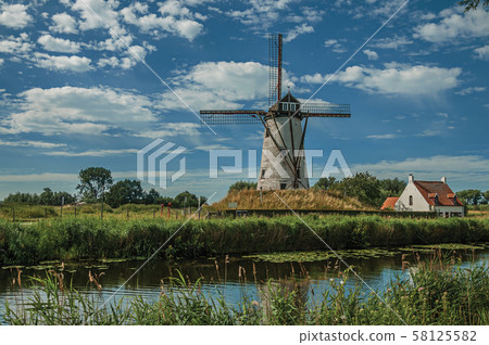 Old windmill next to canal with bushes and grove near Damme 58125582