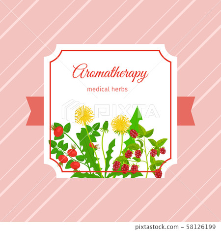 Medical aromatherapy herbs label design 58126199