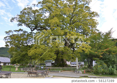 Nokey Daikeyaki (Toyo-gun, Osaka) Nokey Daikeyaki (Toyo-gun, Osaka) 58127289