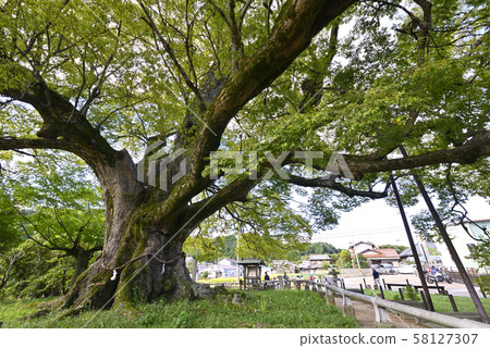 Nokey Daikeyaki (Toyo-gun, Osaka) 58127307