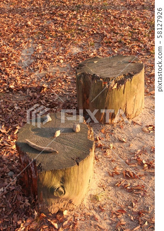 在夕陽下閃耀的微笑 58127926