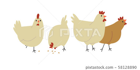 Cute farm chicken hen bird group isolated 58128890