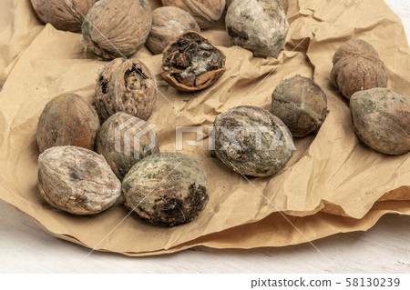 mouldy unpleasant walnuts as a background mouldy unpleasant walnuts as a background 58130239