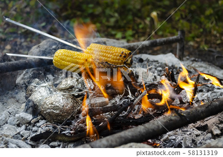 Two ears of corn roasting on the fire. The foil wrapped potatoes,  58131319