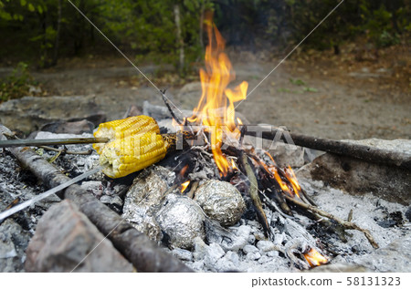 Two ears of corn roasting on the fire. The foil wrapped potatoes,  58131323