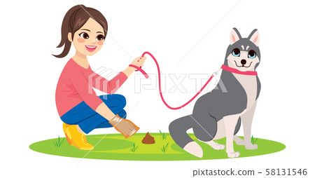 Young woman cleaning her husky pet dog poo Young woman cleaning her husky pet dog poo 58131546