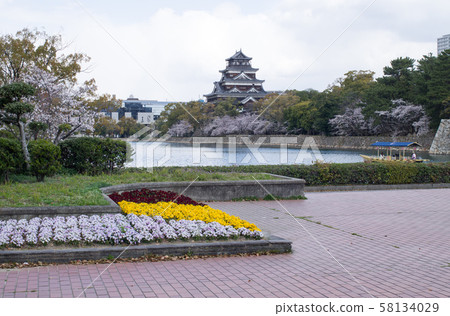 Hiroshima castle and flower bed decorated with cherry blossoms Hiroshima castle and flower bed decorated with cherry blossoms 58134029