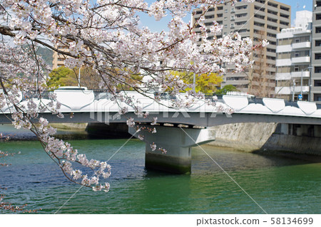 Hiroshima City Yokogawa Bridge and cherry blossom view Hiroshima City Yokogawa Bridge and cherry blossom view 58134699