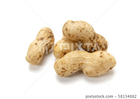 生花生 生花生 58134882