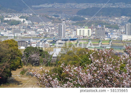View of Asaminami-ku cityscape from Ushidayama, Hiroshima city View of Asaminami-ku cityscape from Ushidayama, Hiroshima city 58135665