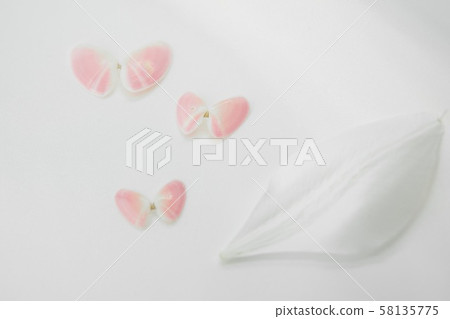 櫻花貝殼和百合花瓣 櫻花貝殼和百合花瓣 58135775