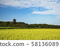 Rice field and Chinese temple 58136089