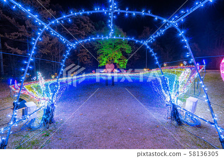 National Alps Azumino Park Illuminated Winter Omachi / Matsukawa Area National Alps Azumino Park Illuminated Winter Omachi / Matsukawa Area 58136305