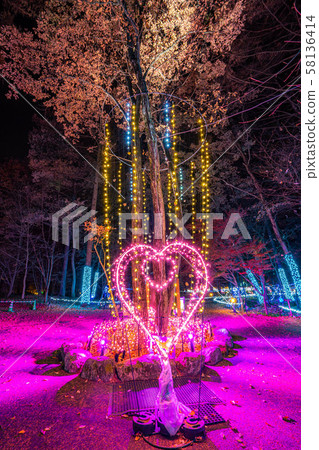 National Alps Azumino Park Illuminated Winter Omachi / Matsukawa Area 58136414