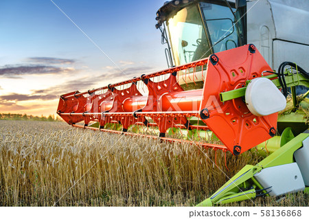 Combine harvester harvesting ripe golden wheat on the field. The image of the agricultural industry Combine harvester harvesting ripe golden wheat on the field. The image of the agricultural industry 58136868