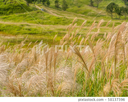 秋天東寶高原 58137396