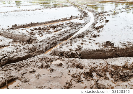 soil mud in rice field prepare for plant rice  58138345