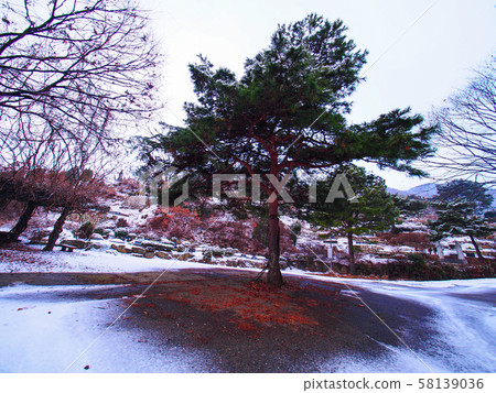 Tree of fire hydrant 58139036