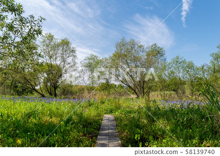 Shizuoka City at the end of summer 58139740