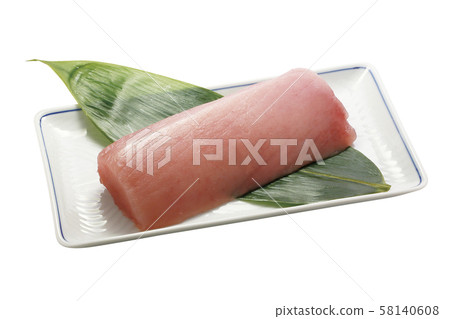 Vincho tuna fence 03 (with pass) 58140608