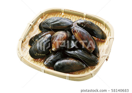 貽貝01（通過） 58140683