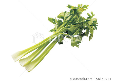 Celery 05 (with pass) Celery 05 (with pass) 58140724