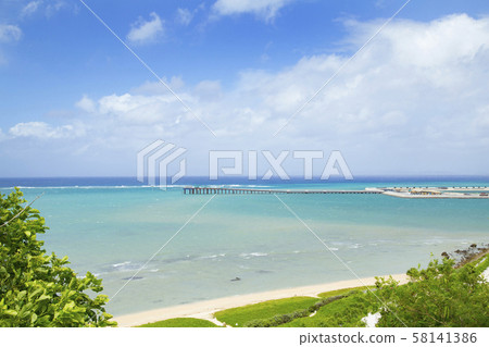 Sesokushima 58141386