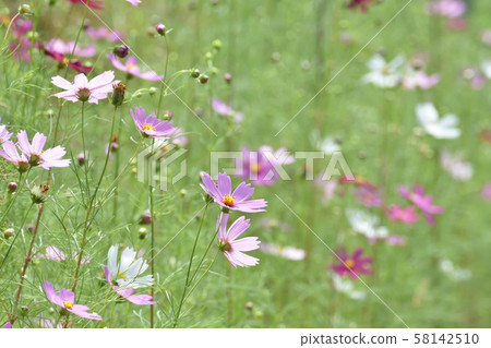 宇宙 宇宙 58142510