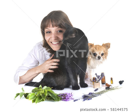 alternative medicine for pet alternative medicine for pet 58144575