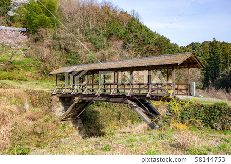 塔瑪魯橋 58144753