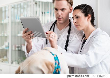 Male and female veterinarian using digital tablet 58146058