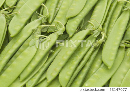 豌豆 58147077