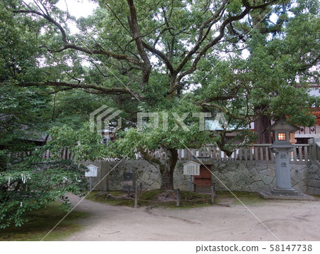 Omishima Oyamazumi Shrine Omishima Oyamazumi Shrine 58147738