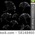 Dandelion 3D Illustration. Tree correction design set. Illustration of fluff dandelion, blossom flora white on black colour. 58148460