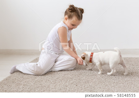 Pets and animal concept - Child girl playing with puppy Jack Russell Terrier Pets and animal concept - Child girl playing with puppy Jack Russell Terrier 58148555