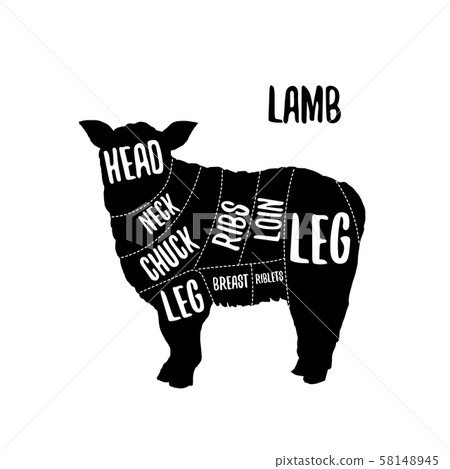 Lamb meat cutting charts vector illustration Lamb meat cutting charts vector illustration 58148945