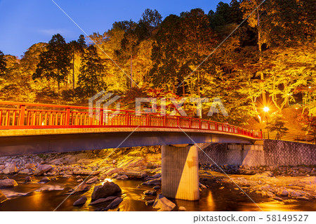 愛知縣/晚/秋葉 58149527