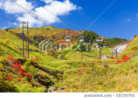 Gunma, autumn leaves Shirane volcano ropeway 58150793
