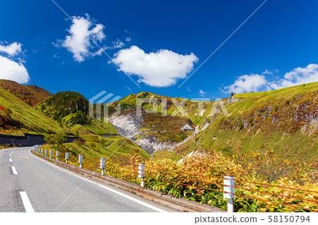 Shiga Kusatsu Road in autumn leaves 58150794