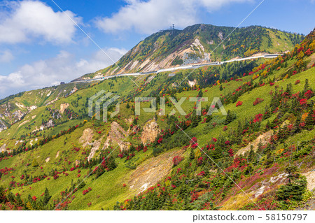 Shiga Kusatsu Road in autumn leaves 58150797