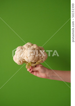hand holds cauliflower on a green background 58151399